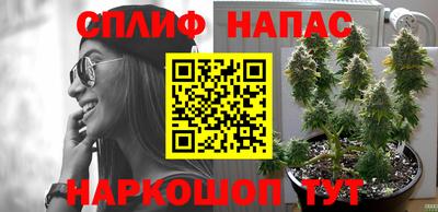 мяу мяу мука Бугуруслан
