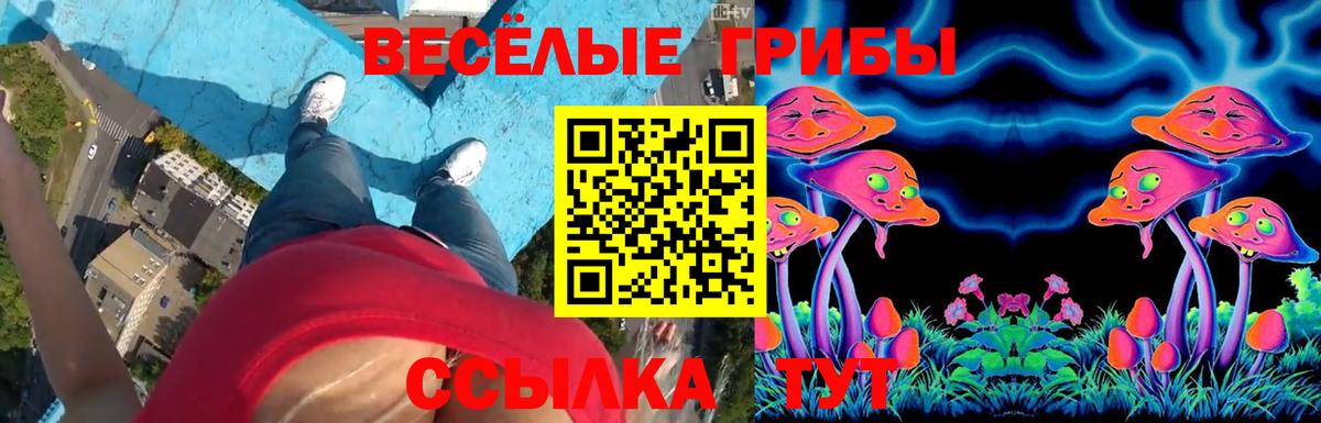 Галлюциногенные грибы мицелий  Вход с VPN  Кинешма  Галлюциногенные грибы ЛСД 