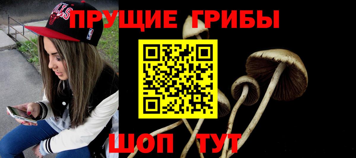 Галлюциногенные грибы ЛСД Кинешма